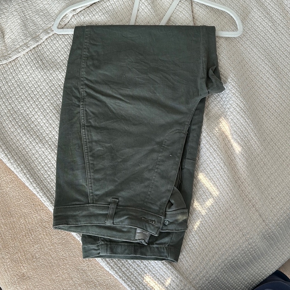 Green Everlane Barrel Pants